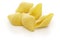 Conchiglioni, italian jumbo shell pasta