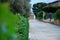 Concordia Temple in the archeological park Valle dei Templi, Agrigento, Sicily