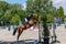 Concours hippique horseback jumping