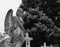 Concrete angel on top of tombstone at cemetery