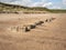 Concrete Anti Tank Defenses Exposed On A Northumberland Beach