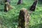 concrete barriers of the Westwall, detail