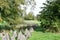 concrete barriers of the Westwall between trees