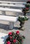 Concrete benches with azaleas