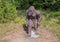 Concrete Bigfoot statue at the entrance to the Port of Jefferson Nature and History Preserve in Jefferson, Texas.