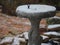 Concrete bird bath covered in ice and snow