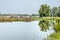 Concrete bridge in Biesbosch national park