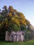 Concrete building in the forest. Bunker among the trees. Sturdy abandoned building