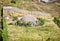 Concrete bunker In Gjirokaster region, Albania.