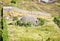 Concrete bunker In Gjirokaster region, Albania.