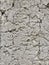Concrete can breath to life many images and be a sweet background - BACKGROUND