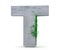 Concrete Capital Letter - T from which the vine grows, isolated on white background. 3D render Illustration