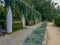 Concrete columns in biggest and colorful park in Wroclaw City