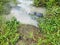 Concrete cylindrical canal drainage flows stagnant by the overgrowth plant and weed.