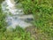 Concrete cylindrical canal drainage flows stagnant by the overgrowth plant and weed.