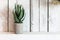 Concrete cylindrical ceramic vase with aloe plant