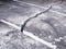 concrete floor or cement road on old parking lot damaged and cracked from ground subsidence