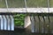 Concrete footbridge with iron railing