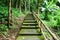 Concrete footpath in the forest background. Cement pavement in the jungle