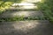 Concrete garden stepping stones pathway