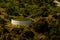 Concrete irrigation basin on high hills in Andalusia, a place of