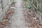 Concrete landscape walkway at have Dry leaf drop