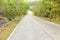 Concrete local road with rubber tree both sides, Thaila