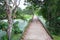 Concrete Path through the Jungle