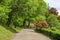 Concrete path lined by green trees and bushes at Sleepy Hollow Cemetary, Upstate New York