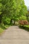 Concrete path lined by green trees and bushes at Sleepy Hollow Cemetary, Upstate New York