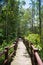 Concrete pathway bridge in forest