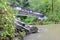 Concrete Pedestrian Pathway and Forest