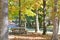 Concrete picnic table in fall