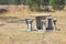 Concrete picnic table and seats