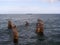 Concrete pier remnants left by strong typhoon sea waves