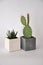 Concrete planter cubes in silver and white