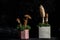 Concrete podiums and mushrooms. Still life. woodland decor and natural style