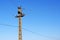 Concrete pole for aerial power lines against blue sky.