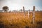 Concrete posts topped with barbed