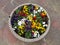 Concrete pot with colorful pansies.