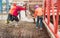 Concrete pouring work. Adjusting the concrete to be consistent is necessary to do. Construction worker pouring concrete, directing