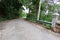 Concrete road empty space and big green trees and forests on both sides of the road travel