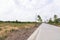 Concrete road with plant and lighing pole