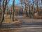 Concrete road to the rowing canal in the fall season