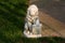 Concrete sculpture of mighty lion holding shield on edge of concrete path surrounded with grass on warm sunny day