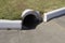 Concrete sewer pipe on asphalt with a curb on a lawn with green grass