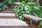 Concrete staircase with the wooden bench.