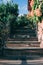 Concrete stairs up with hand rail on the sunset , plants and bushes with trees and flowers on the top