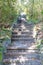 Concrete stairs on the walking path at Ravine Gardens State Park in Palatka, FL