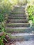 Concrete stairs on the walking path at Ravine Gardens State Park in Palatka, FL